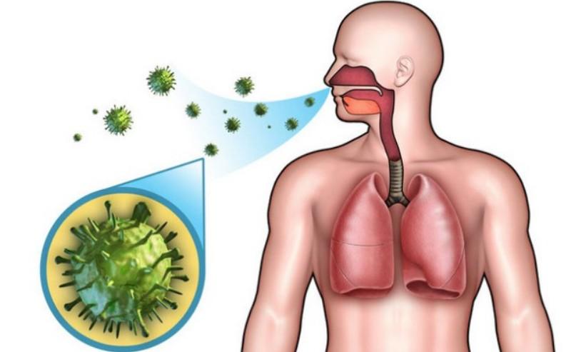 Микроорганизмы в носу