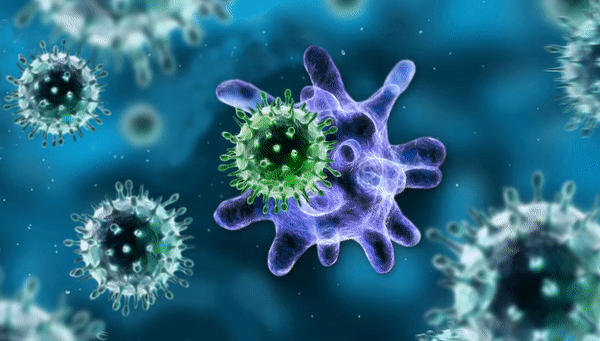 Как организм реагирует на вирусы